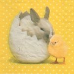 Serviette papier lapin brun et poussin 33 cm X 33 cm 3 plis